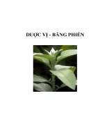 DUỢC VỊ - BĂNG PHIẾN docx