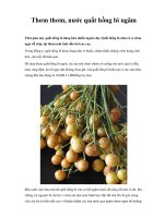 Thơm thơm, nước quất hồng bì ngâm pot