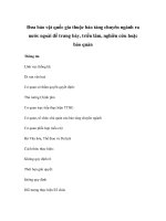 Đưa bảo vật quốc gia thuộc bảo tàng chuyên ngành ra nước ngoài để trưng bày, triển lãm, nghiên cứu hoặc bảo quản ppsx