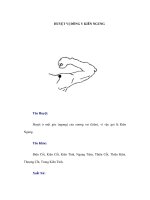 HUYỆT VỊ ĐÔNG Y KIÊN NGUNG potx