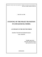 summary of the doctor thesis studying of the phase transition in linear sigma model