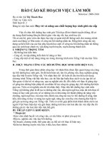 báo cáo kết quả việc làm mới(Hoa)