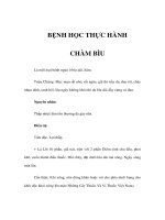 BỆNH HỌC THỰC HÀNH - CHÀM BÌU pdf