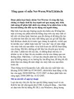 Tổng quan về mẫu Net-Worm.Win32.Kido.ih pdf