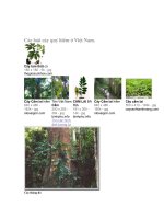 cac thuc vat quy hiem