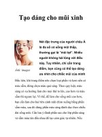 Tạo dáng cho mũi xinh doc