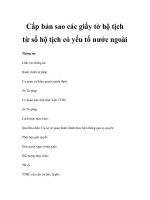 Cấp bản sao các giấy tờ hộ tịch từ sổ hộ tịch có yếu tố nước ngoài pdf