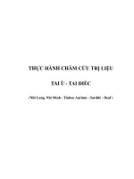 THỰC HÀNH CHÂM CỨU TRỊ LIỆU TAI Ù - TAI ĐIẾC (Nhĩ Lung, Nhĩ Minh - Tinitus Aurium - pdf