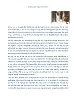 Thắng cảnh Ngũ Hành Sơn