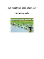 Kỹ thuật bón phân chăm sóc cho lúa vụ mùa docx