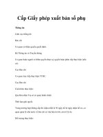 Cấp Giấy phép xuất bản số phụ pptx