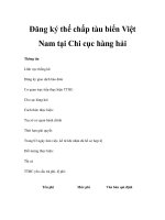 Đăng ký thế chấp tàu biển Việt Nam tại Chi cục hàng hải pptx