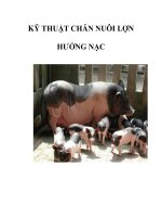 KỸ THUẬT CHĂN NUÔI LỢN HƯỚNG NẠC pdf