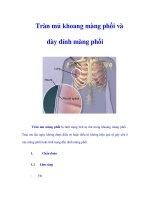 Tràn mủ khoang màng phổi và dày dính màng phổi doc