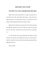 BỆNH HỌC THỰC HÀNH - NGUYÊN TẮC CHẨN TRỊ BỆNH HỆ TIÊU HÓA docx