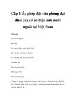 Cấp Giấy phép đặt văn phòng đại diện của cơ sở điện ảnh nước ngoài tại Việt Nam potx