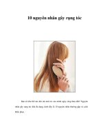 10 nguyên nhân gây rụng tóc pptx