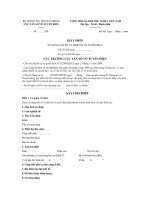 Mẫu giấy phép sử dụng tần số và thiết bị vô tuyến điện doc