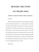 BỆNH HỌC THỰC HÀNH - SUY THƯỢNG THẬN pdf