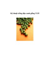 Kỹ thuật trồng đậu xanh giống T135 potx