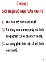 Chương 1: Giới thiệu mô hình toán kinh tế