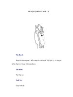 HUYỆT VỊ ĐÔNG Y NGŨ LÝ ppsx