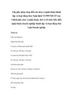 Cấp giấy phép công diễn cho đơn vị nghệ thuật thành lập và hoạt động theo Nghị định 73/1999/NĐ-CP của Chính phủ; đơn vị nghệ thuật, đơn vị tổ chức biểu diễn nghệ thuật chuyên nghiệp thành lập và hoạt động theo Luật Doanh nghiệp docx