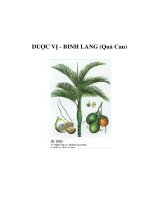 DUỢC VỊ - BINH LANG (Quả Cau) ppt