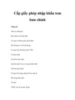 Cấp giấy phép nhập khẩu tem bưu chính pptx