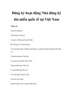 Đăng ký hoạt động Nhà đăng ký tên miền quốc tế tại Việt Nam potx