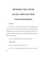 BỆNH HỌC THỰC HÀNH - DẠ DÀY VIÊM MẠN TÍNH pot