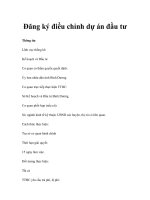 Đăng ký điều chỉnh dự án đầu tư pps