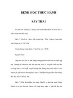 BỆNH HỌC THỰC HÀNH - SẨY THAI potx