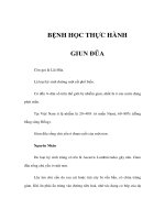 BỆNH HỌC THỰC HÀNH - GIUN ĐŨA pdf