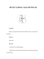 HUYỆT VỊ ĐÔNG Y ĐẠI TRƯỜNG DU potx