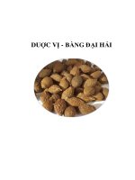 DUỢC VỊ - BÀNG ĐẠI HẢI pptx