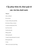 Cấp phép thăm dò, khai quật di sản văn hóa dưới nước pptx