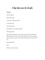 Cấp bản sao từ sổ gốc pps