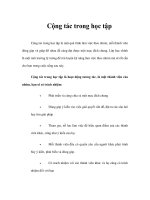 Cộng tác trong học tập pptx