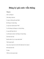 Đăng ký giá cước viễn thông pps