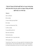 Cấp lại Chứng chỉ hành nghề luật sư trong trường hợp đã bị thu hồi do bị tước quyền sử dụng Chứng chỉ hành nghề luật sư có thời hạn pdf