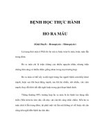 BỆNH HỌC THỰC HÀNH - HO RA MÁU (Khái Huyết – Hemoptysis – Hémoptysie) pptx