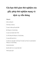 Gia hạn thời gian thử nghiệm của giấy phép thử nghiệm mạng và dịch vụ viễn thông pdf