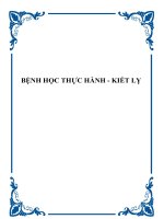 BỆNH HỌC THỰC HÀNH - KIẾT LỴ ppt