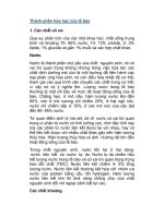 Thành phần hóa học của tế bào ppsx