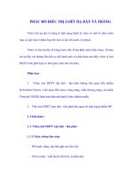 PHÁC ĐỒ ĐIỀU TRỊ LOÉT DẠ DÀY TÁ TRÀNG potx