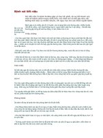 Bệnh sỏi tiết niệu pptx