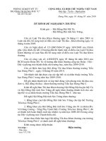 tờ trình đề nghị Hội đồng đội tỉnh khen thưởng