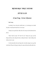 BỆNH HỌC THỰC HÀNH - ÁP XE GAN pdf