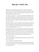 Bệnh ghẻ và thuốc chữa ppsx